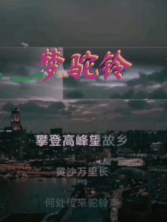 Seven-《梦驼铃》