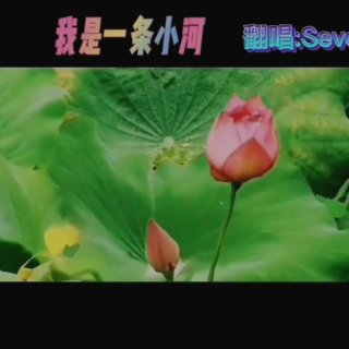 Seven-《我是一条小河》