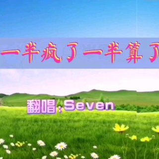 Seven-《一半疯了一半算了》