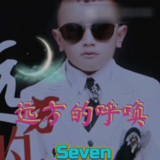 Seven-《远方的呼唤_DJ版》